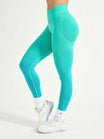 Miracle Seamless Legging - Playa Ombre