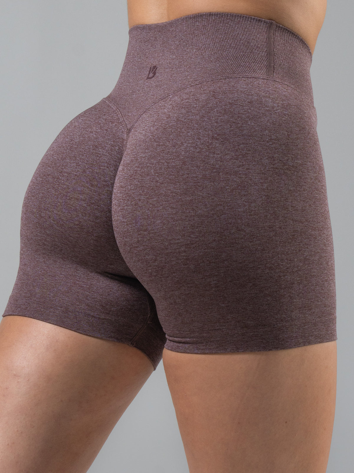 Snatched Seamless Short 4.5" - Vision